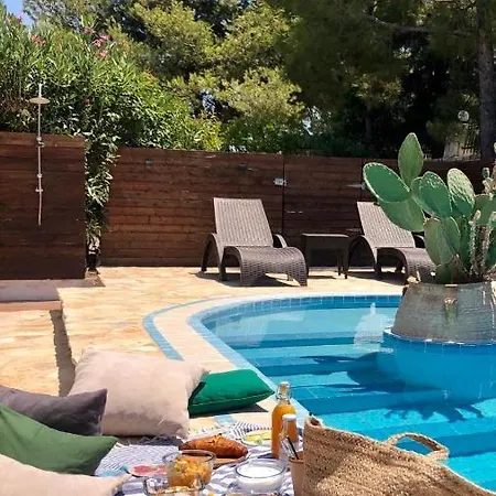 Mykosvilla With Private Pool Villa *